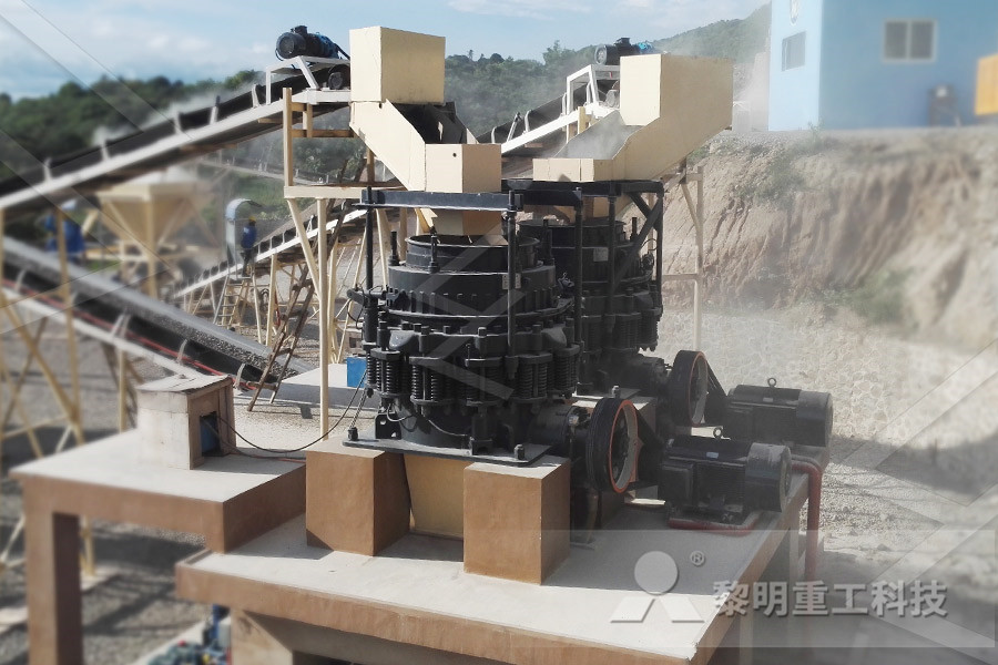 SKD Roller Bearing ne crusher With ce Isocation  